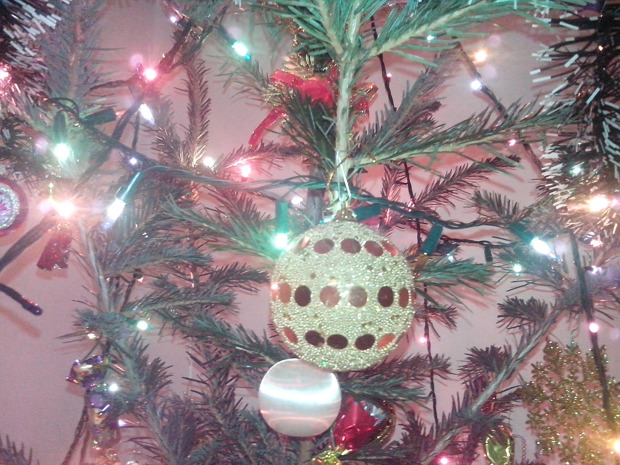 in asteptarea mosului - img201312212056281697361673.jpg